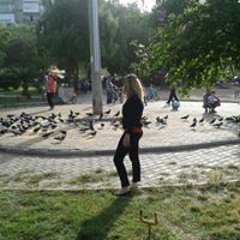 Nesrin Chachou
