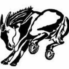 Muleshoe Sports Network