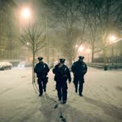 NYPD BANDIT