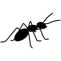 Ant Beats