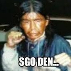 Skoden