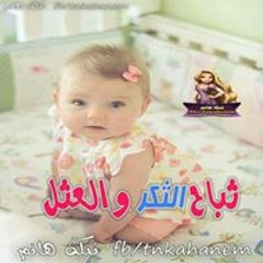 شهد طارق