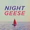Night Geese