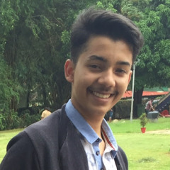 aryan haldankar