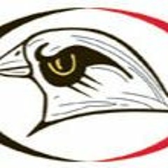 RRHS HawkPride