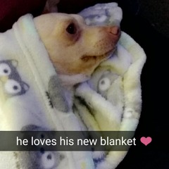 lovelydee143
