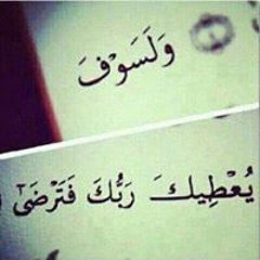 عبدالرحمن سيد