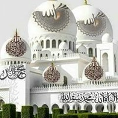 وائل ابوالعنين
