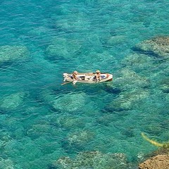 priscillapettofrezza