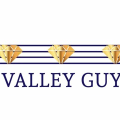 The Valley Guy