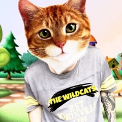 The Wildcats