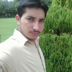 Subhan Ali