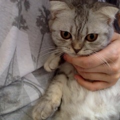 Isabel Christina Lai