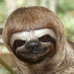 SlotH1337