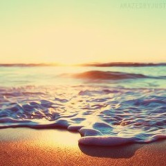 shaekaa72