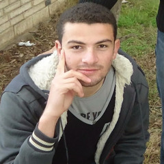 Ali Nabil Ali
