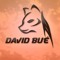 David Bué