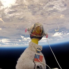 Colonel Orbiter Sanders