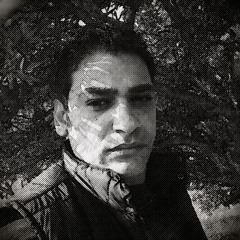 hassan shwamra