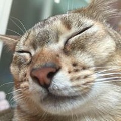 이한