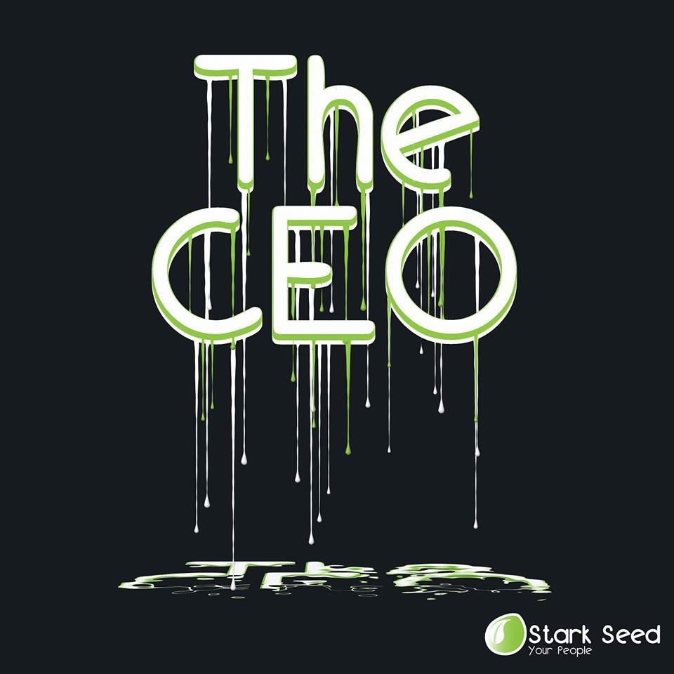 the ceo
