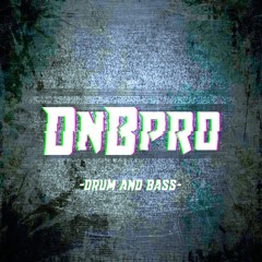 DnBpro