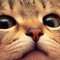 User 281005858