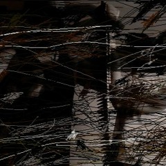 Infestation OvHatred