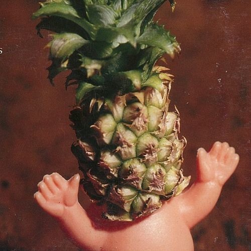 The Pineapples’s avatar