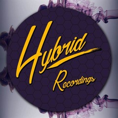 Hybrid Recordings