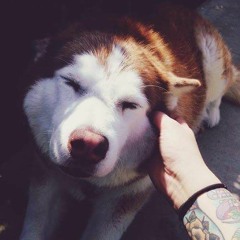 - By K 391 (MUSICA DA INTRO DO CELLBIT)