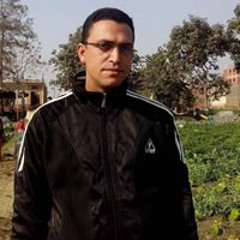 مصطفى سماحه