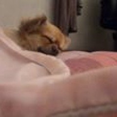 ใครก็ได้ ที่ไม่ใช่คุณ