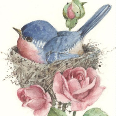 ‫ساره بنت احمد‬‎