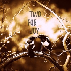 Two For Joy