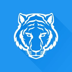 Supertiger Music
