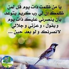 امنيه محمد امنيه محمد