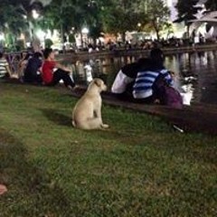 Vinh Vú Vẹo