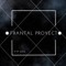 frantal proyect