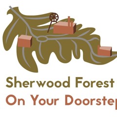 Sherwood Forest On Your Doorstep