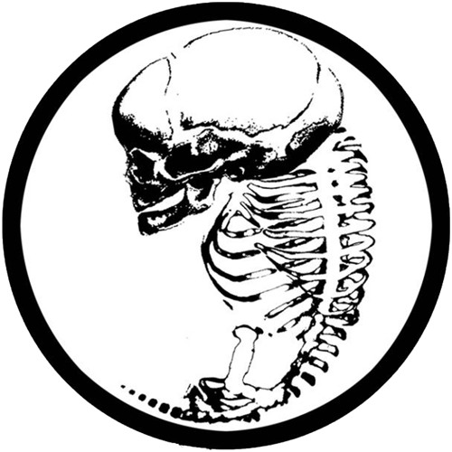 Stillbirth Records’s avatar