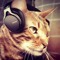 Smoothcat