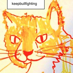 keepbullfighting
