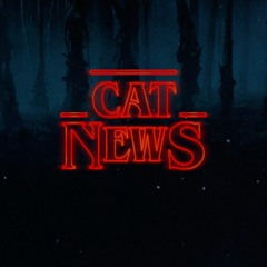 CatNews