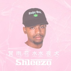 Shleezo