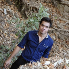 Sepehr Mohammad Pour