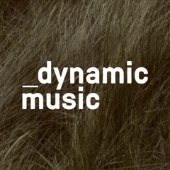 Dynamic Music LTD