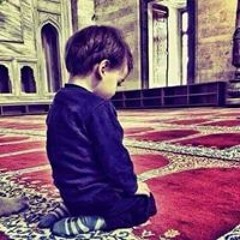 صفية محمد أمنيتي جنتي