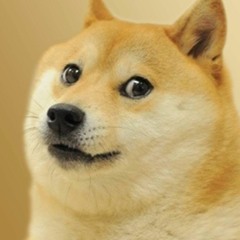 SpaceDoge