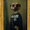 Meerkat Collectives